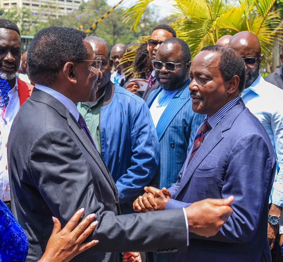 ODM Msikubali Kumezwa Hata Kidogo – Orengo