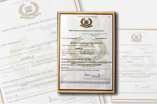 MPs Push for Faster, Digital Renewal of Certificates of Good Conduct
