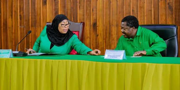 Tanzanian Vice President Nchimbi Resigns